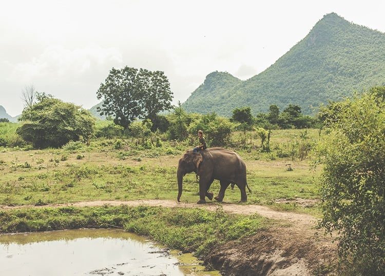 A Top 10 Asia Travel Photos (& how I took them!)