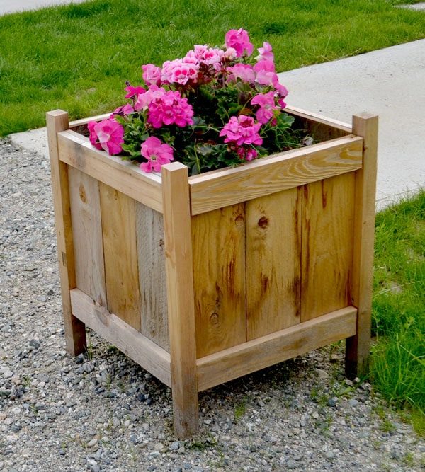 DIY Unfussy Cedar Planter Boxes