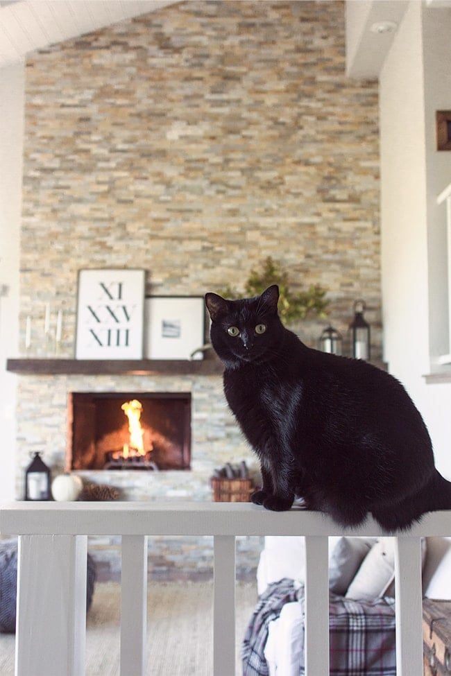 Big Living Room Reveal!