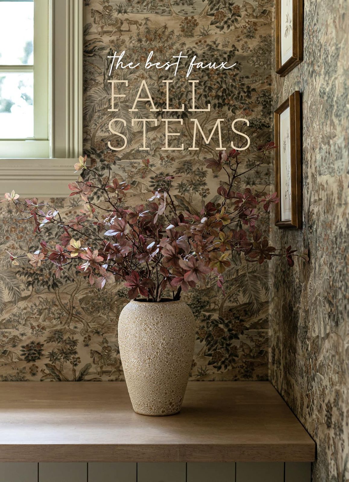 Fall Stem Collection: Standouts from 2024
