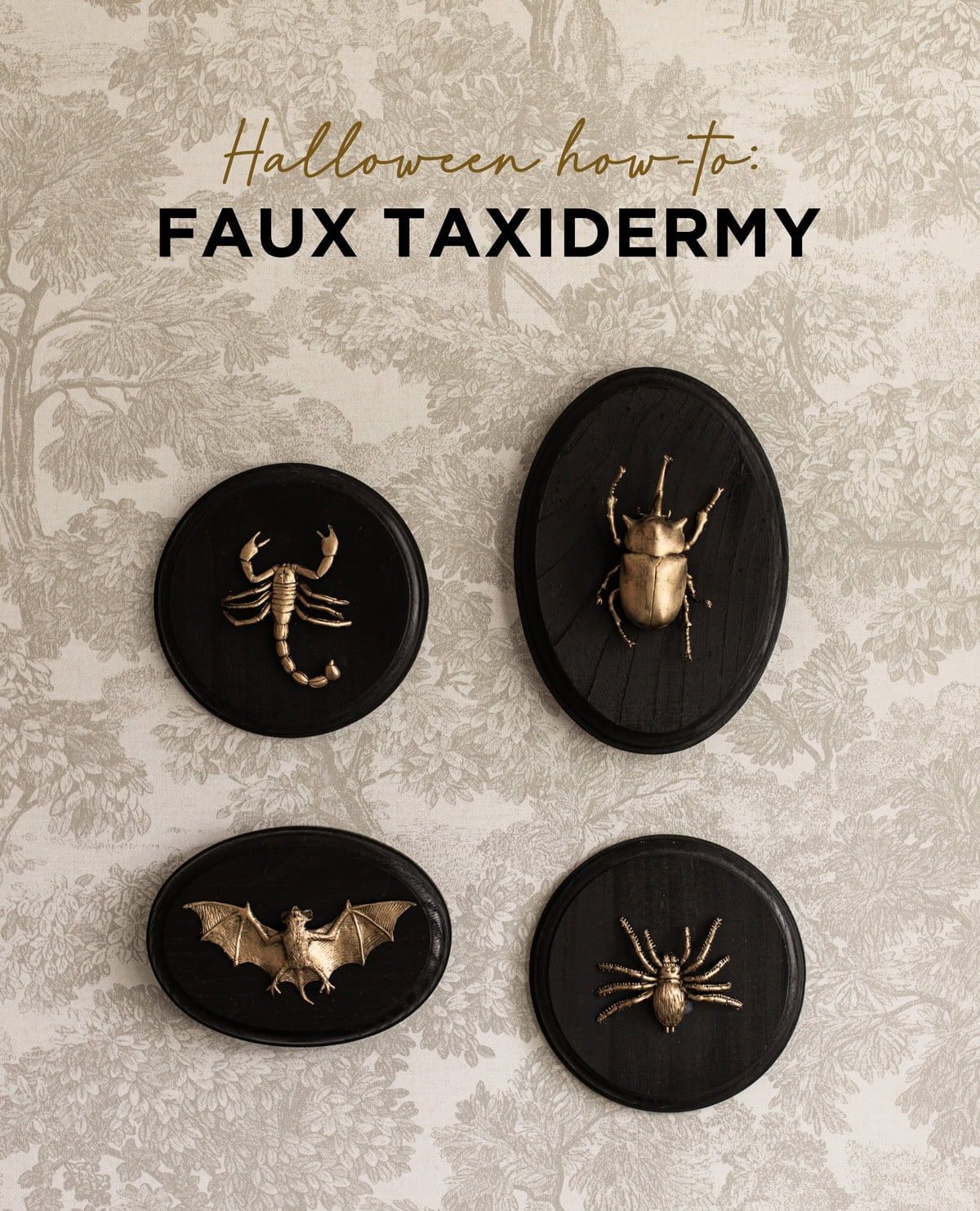 DIY Halloween Faux Taxidermy