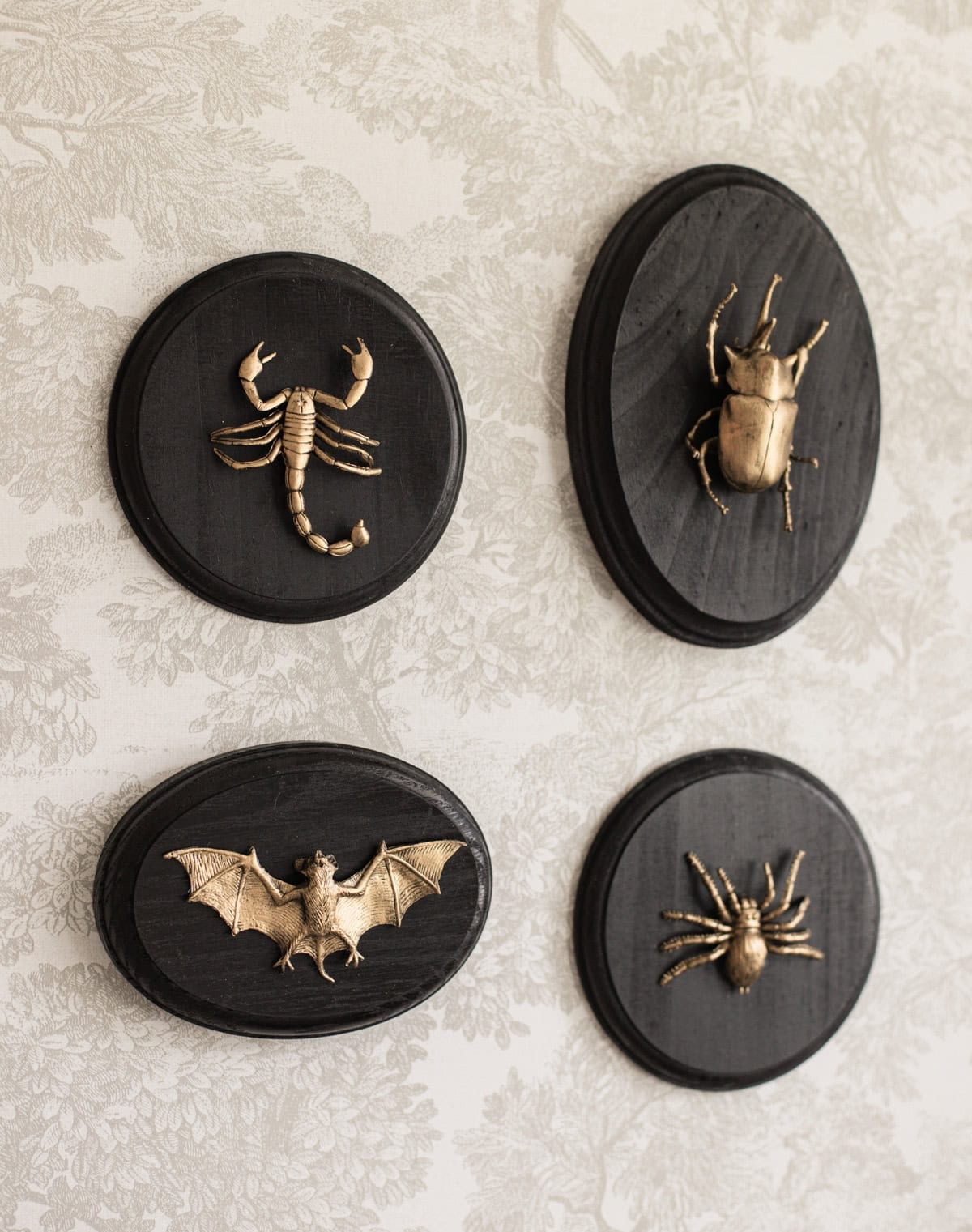 diy halloween faux taxidermy tutorial