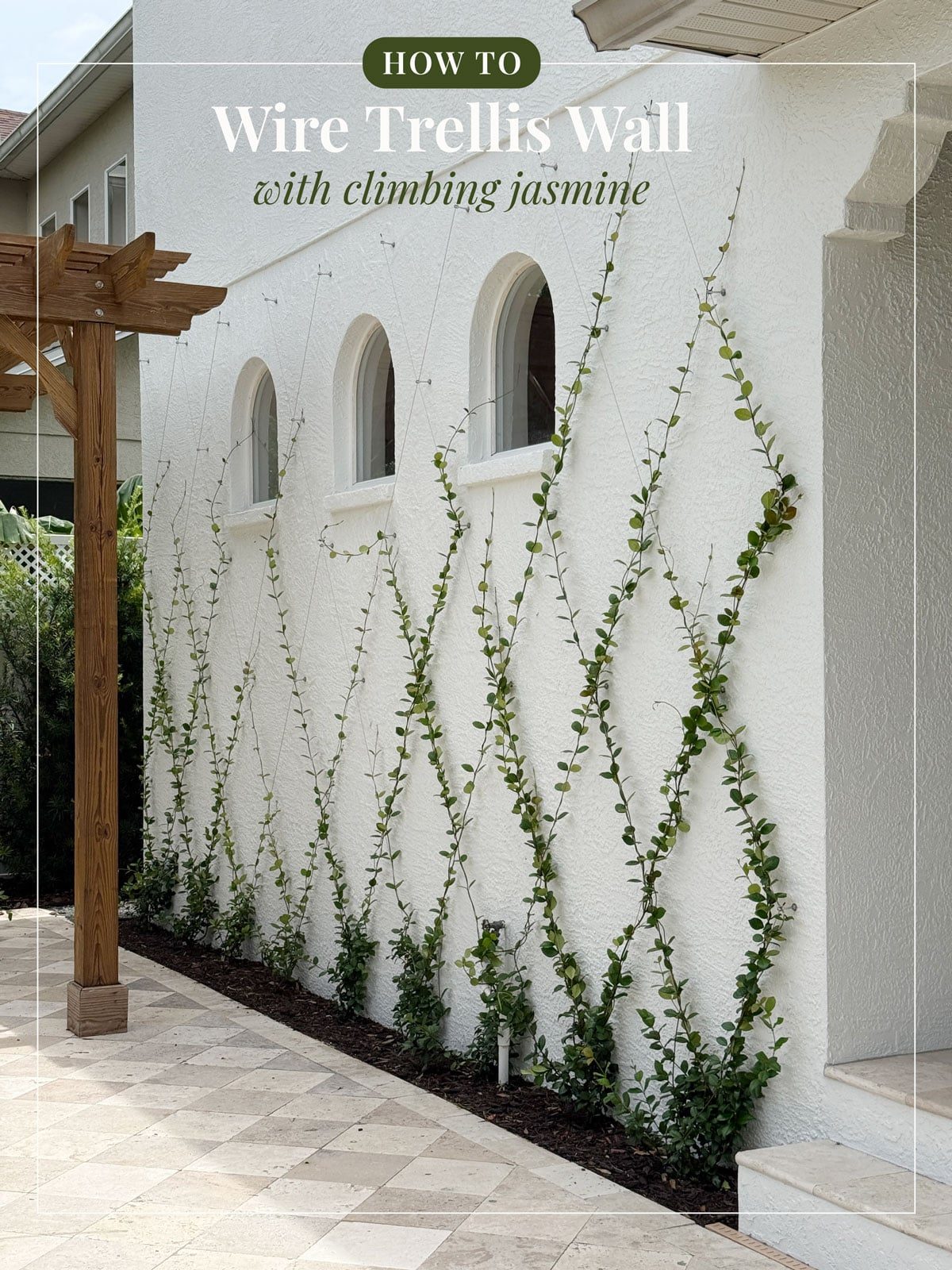 DIY Jasmine Wire Trellis Wall